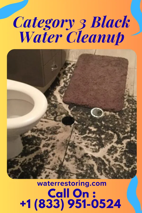 Category 3 Black Water Cleanup in Tioga, TX