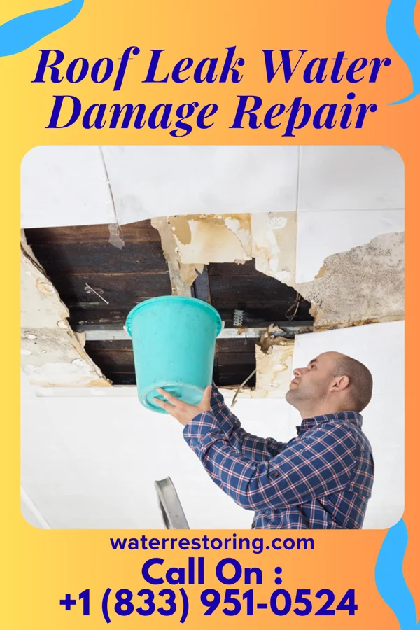 Roof Leak Water Damage Repair in Tioga, TX