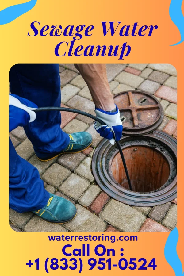 Sewage Water Cleanup in Tioga, TX